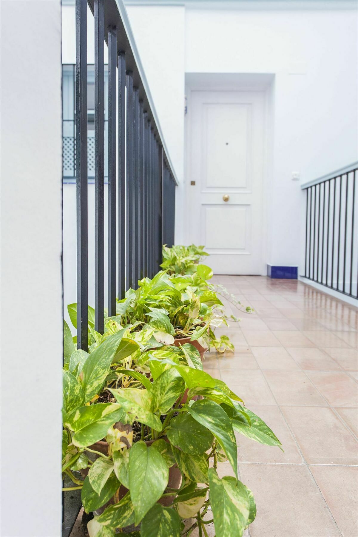 Appartement Santa Cruz Séville